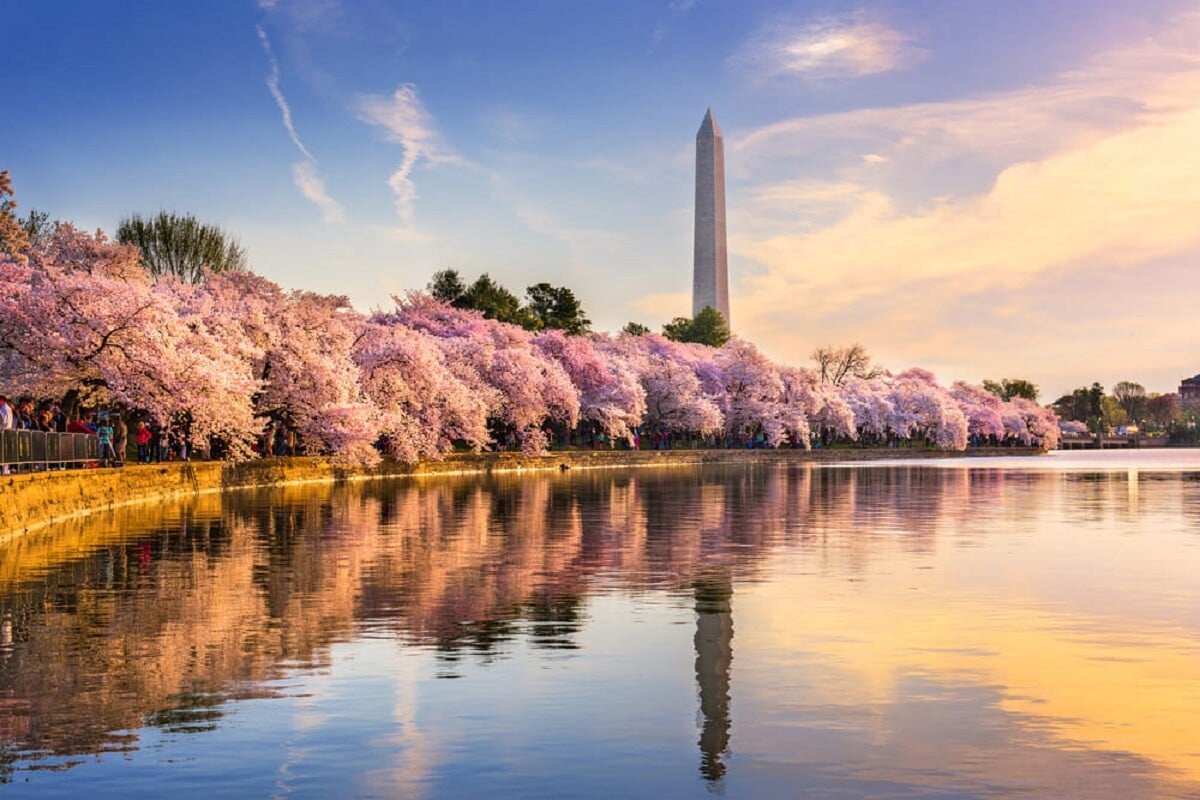 Washington DC, USA at the tidal basin with Washington Monument in spring season (1)