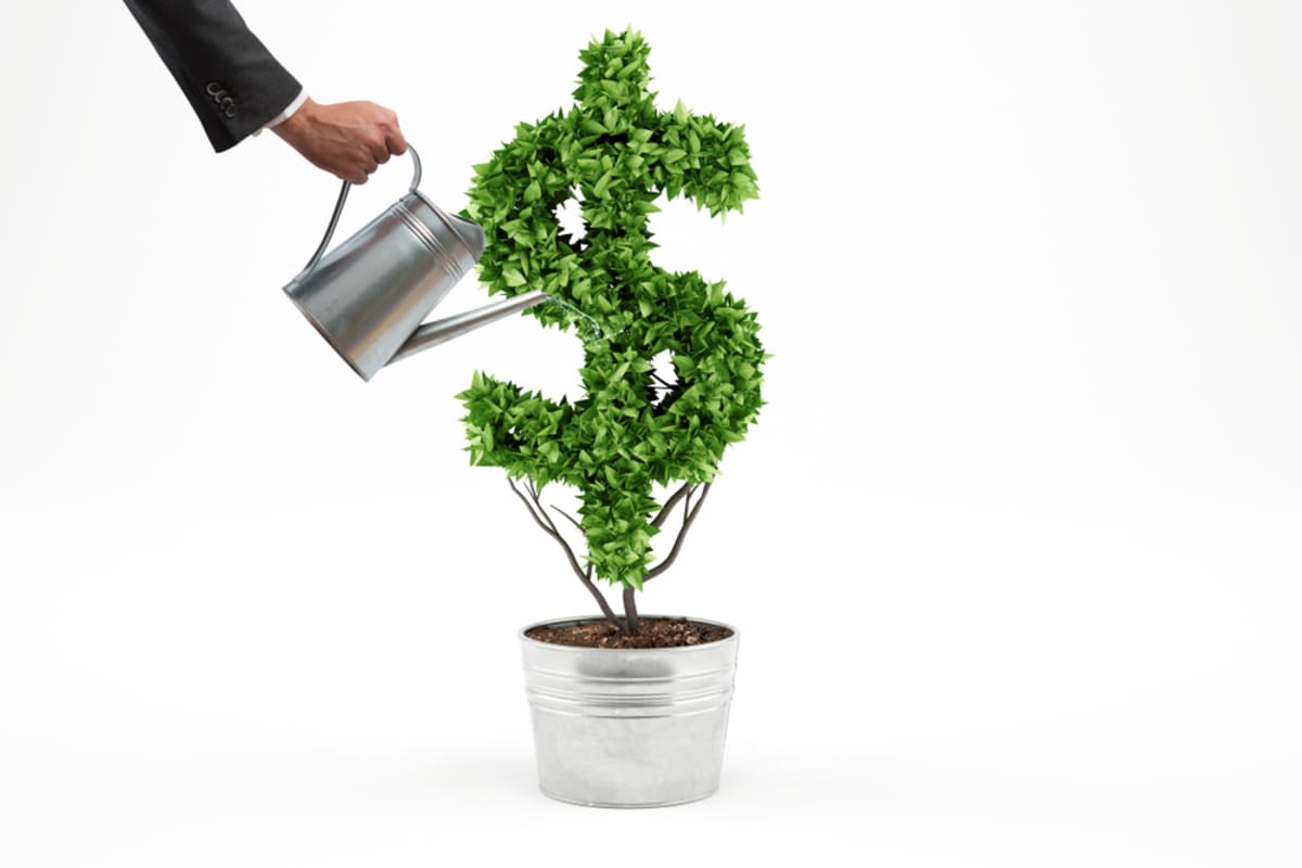 Watering a dollar sign tree, profitability for commercial lease Washington, DC concept